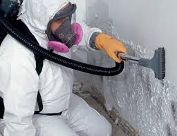 Why You Should Choose Our Mold Remediation Services in Panora, IA